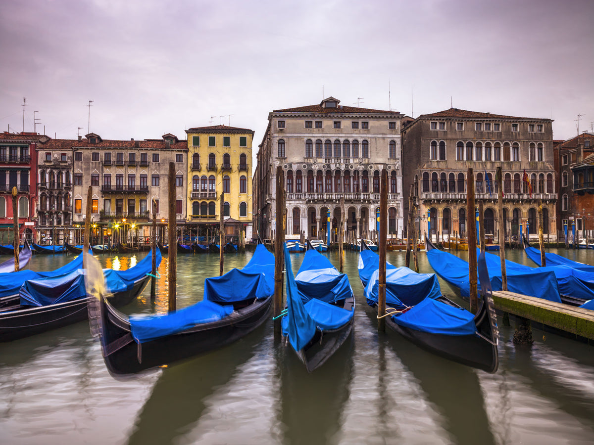 Venetian Blues Wall Mural in your room — zoomed