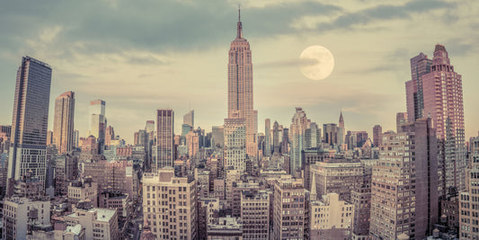 Manhattan Skyline Wall Mural