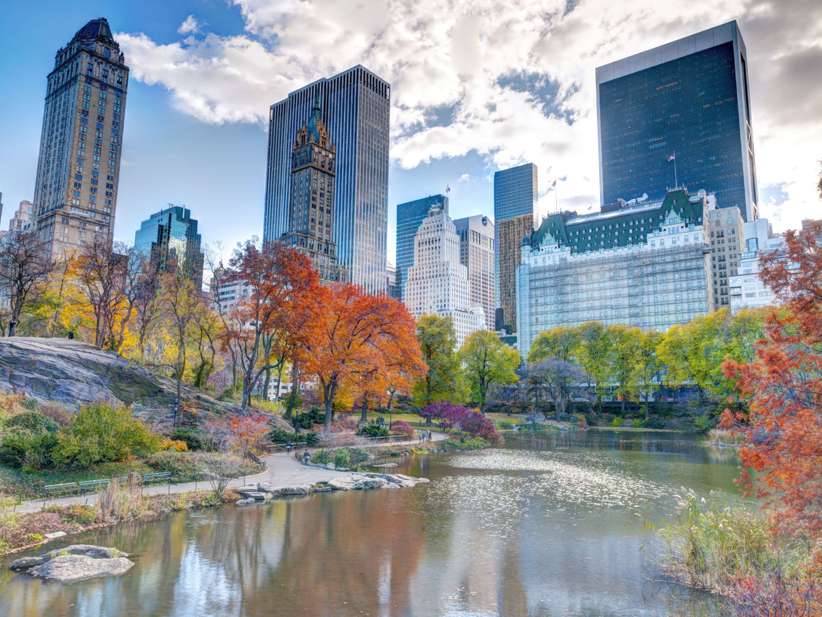 Autumn in the City Wall Mural in your room