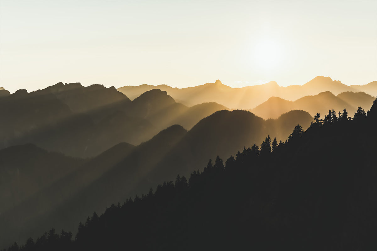 Mountain Dawn Woodland Wall Mural - 2254321