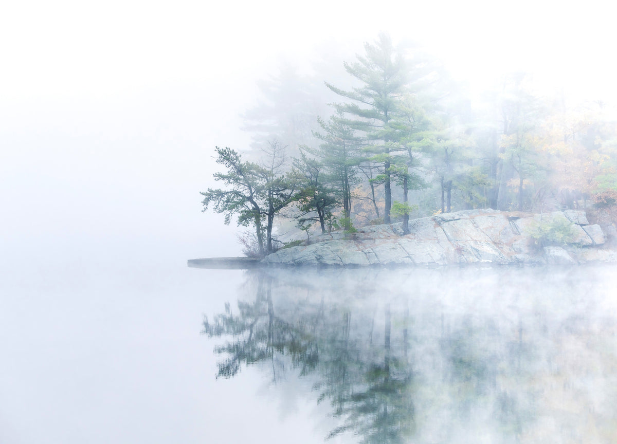 Misty Lake Serenity Woodland Wall Mural - 2399577 in your room — zoomed