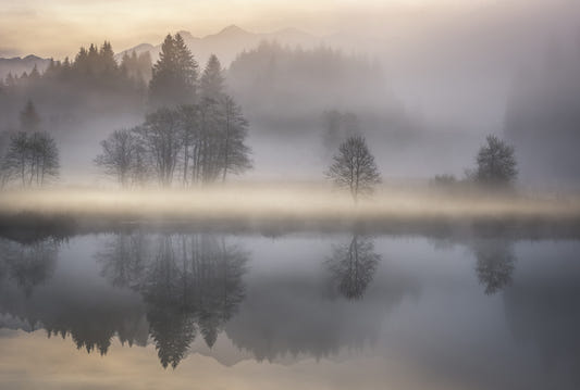 Woodland Dawn Reflection Wall Mural - 2576375