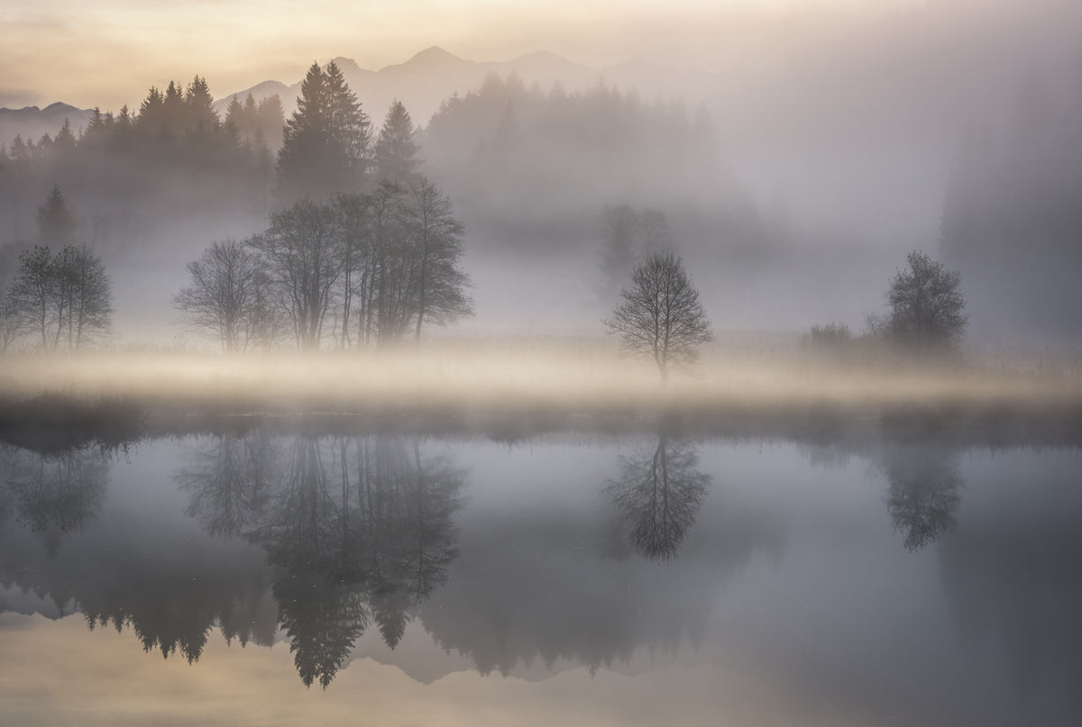 Woodland Dawn Reflection Wall Mural - 2576375 in your room — zoomed