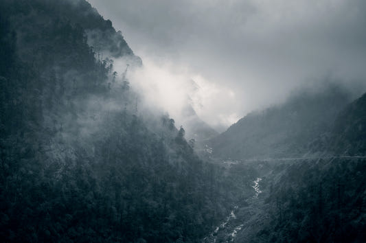 Misty Woodland Cascade Wall Mural - 2525213