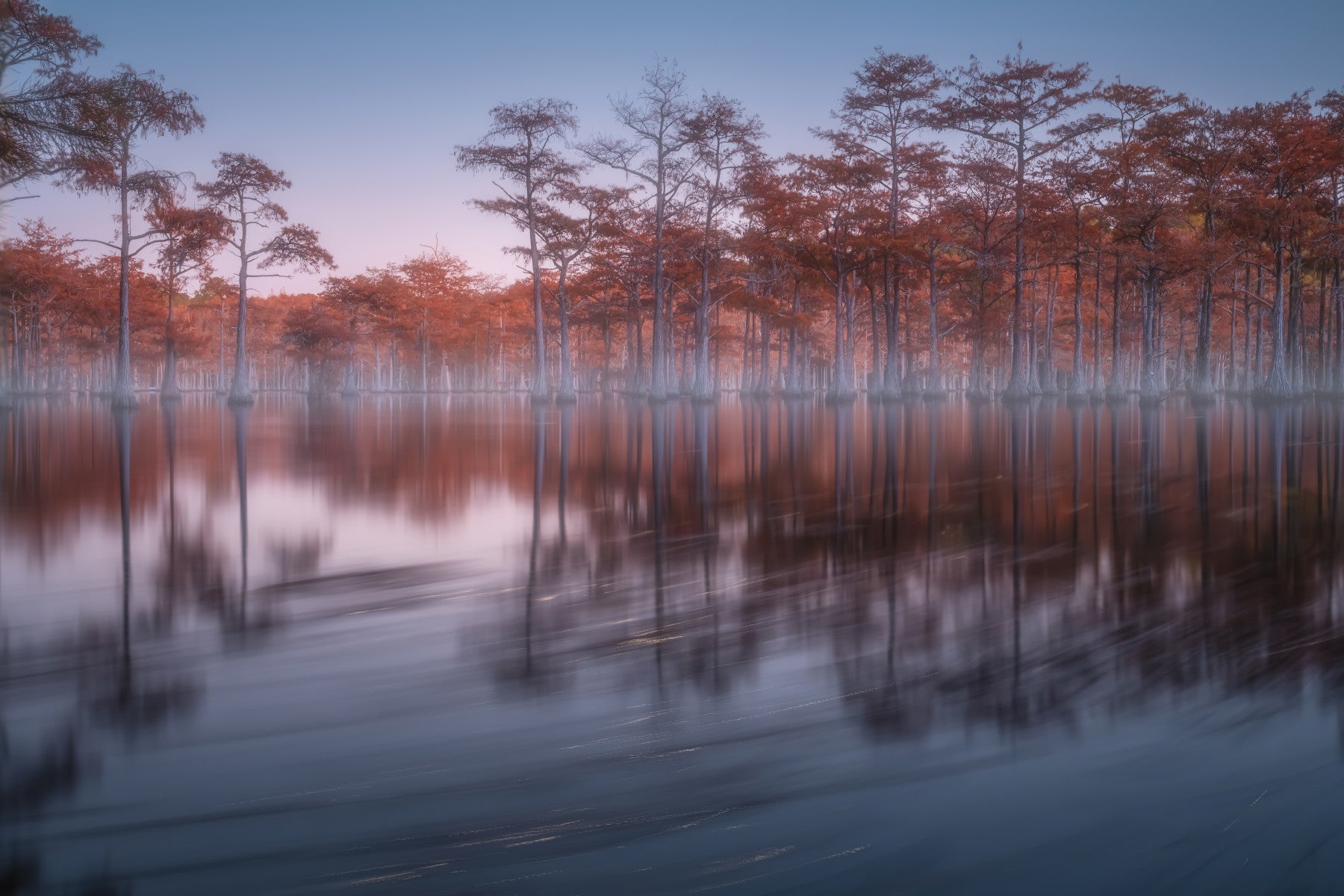 Woodland Twilight Lagoon Wall Mural - 2363153