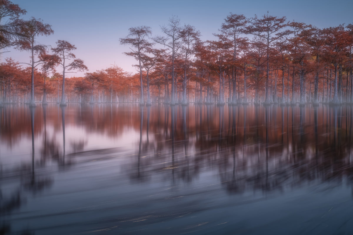 Woodland Twilight Lagoon Wall Mural - 2363153 in your room — zoomed