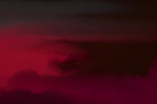 Crimson Dreams Wall Mural