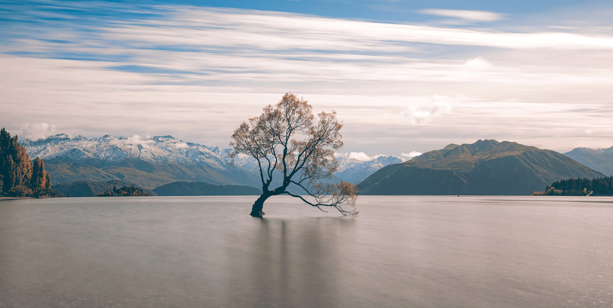 Lake Wanaka Tree Serenity Wall Mural - 2250028 in your room — zoomed