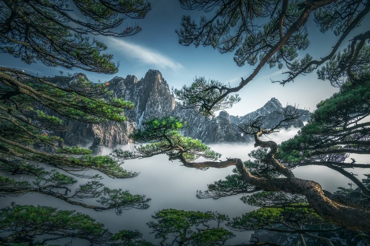 Zenith Peak View Wall Mural - 2301560 in your room