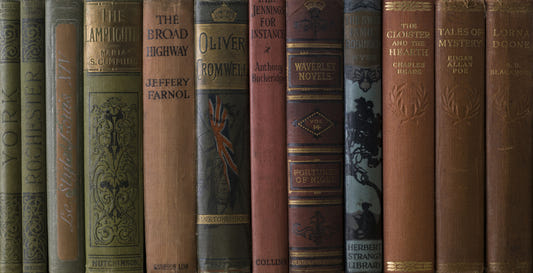 Classic Literature Shelf Wall Mural