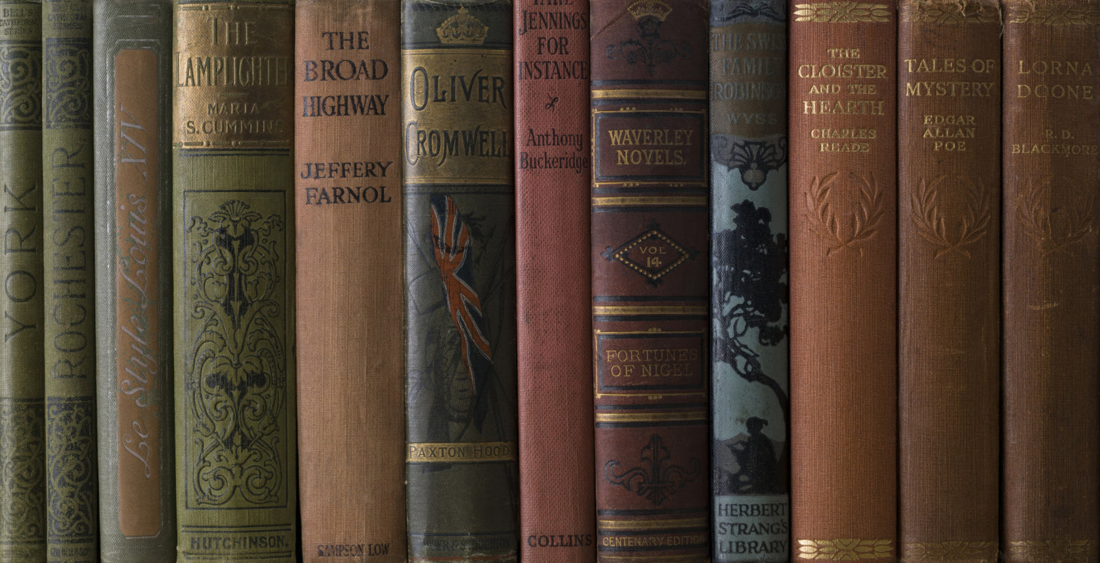 Classic Literature Shelf Wall Mural