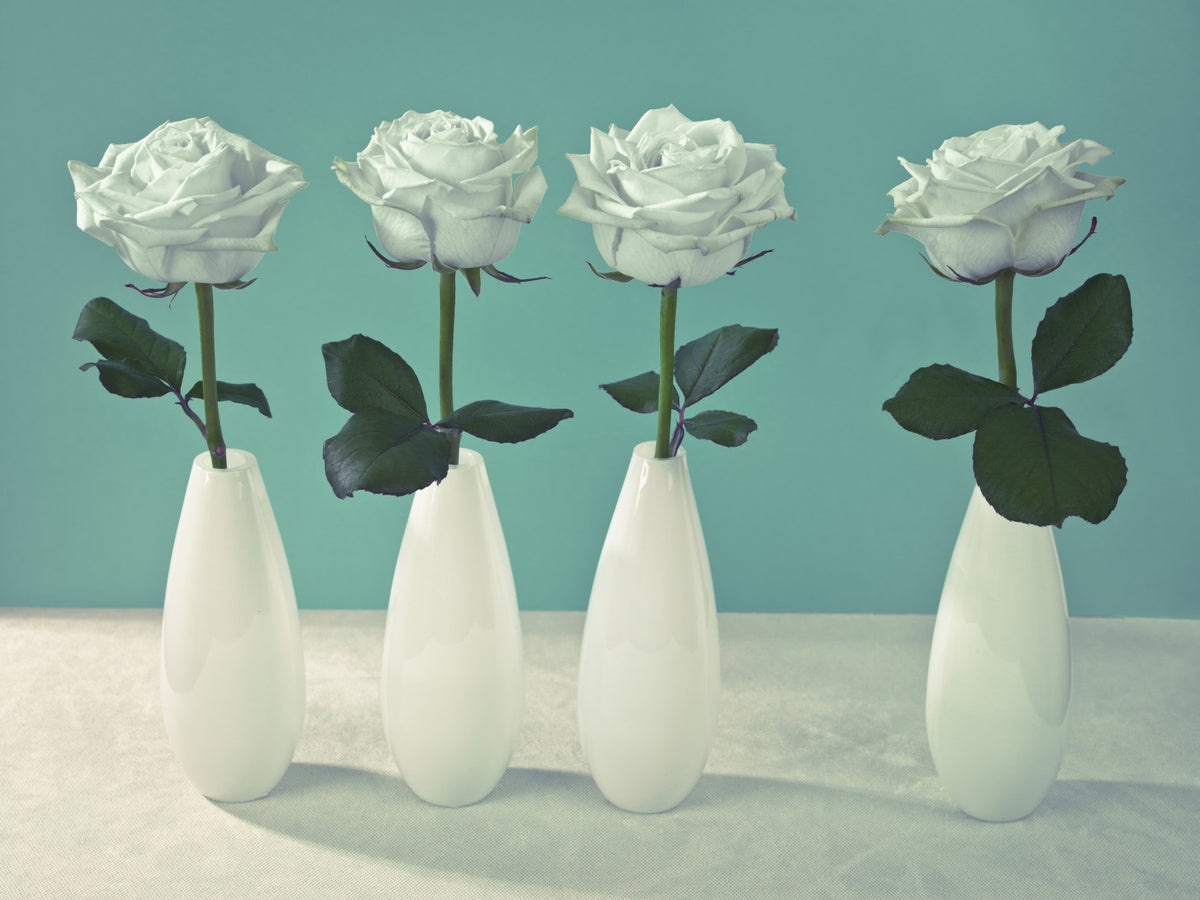 Floral Quartet Wall Mural in your room