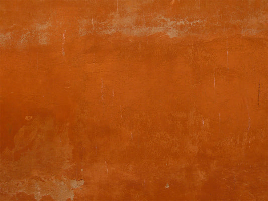 Roman Sall Wall Mural