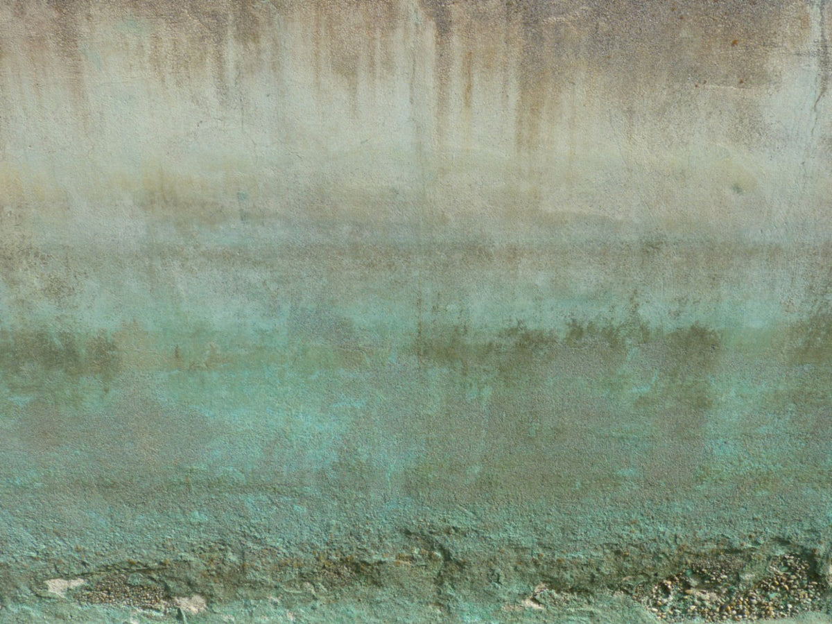 Oxidized Wall Art Wall Mural in your room