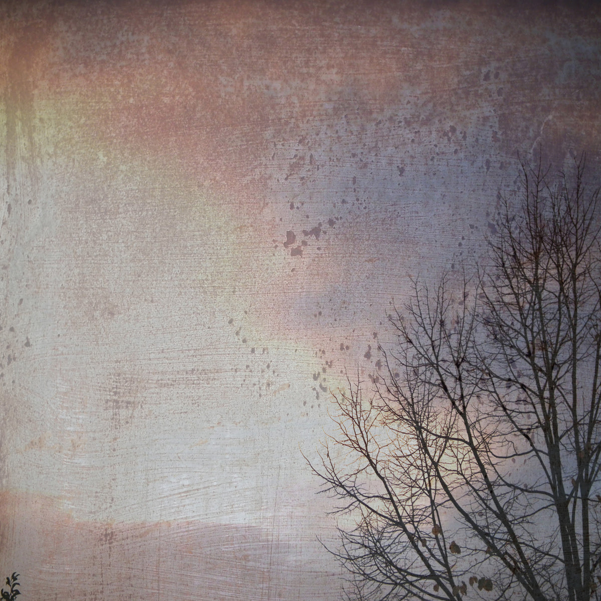 Winter Day Wall Mural in your room