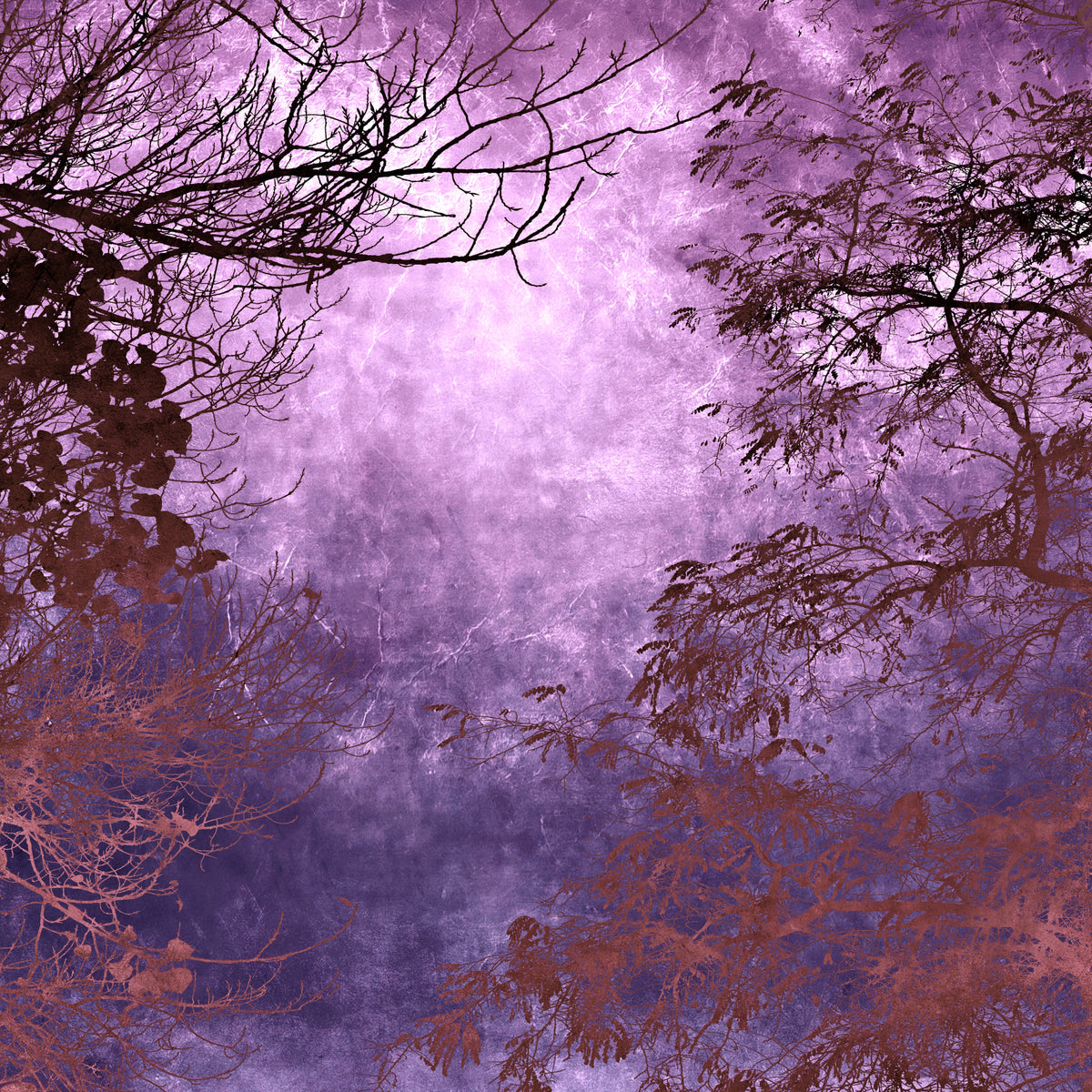 Purple Woods Wall Mural in your room — zoomed