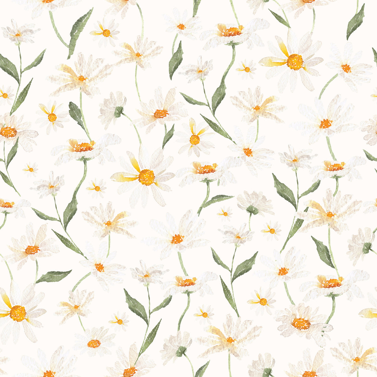 Daisy Dreams Wallpaper⁠