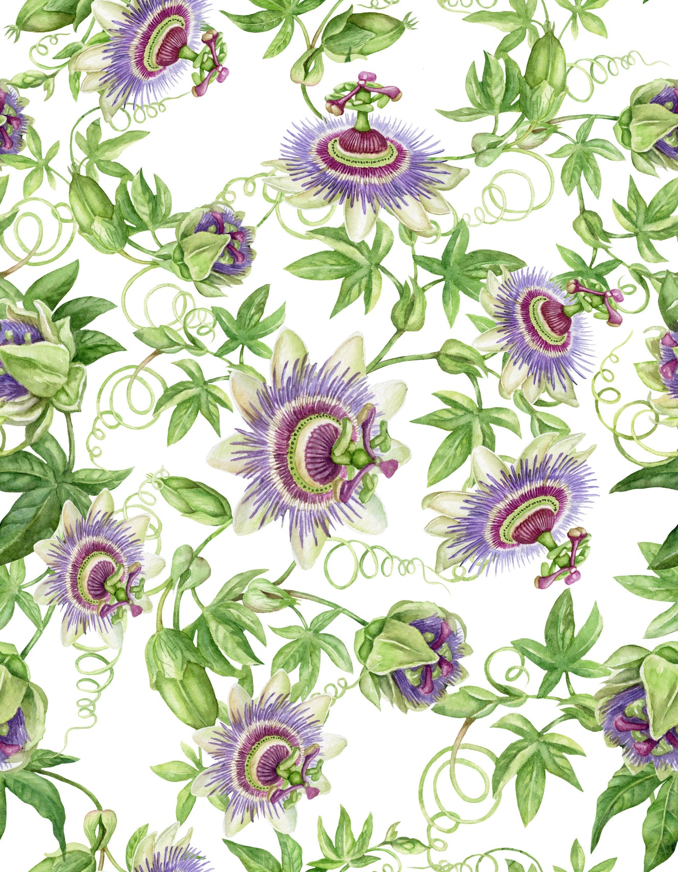 Passionflower Dream Wallpaper⁠
