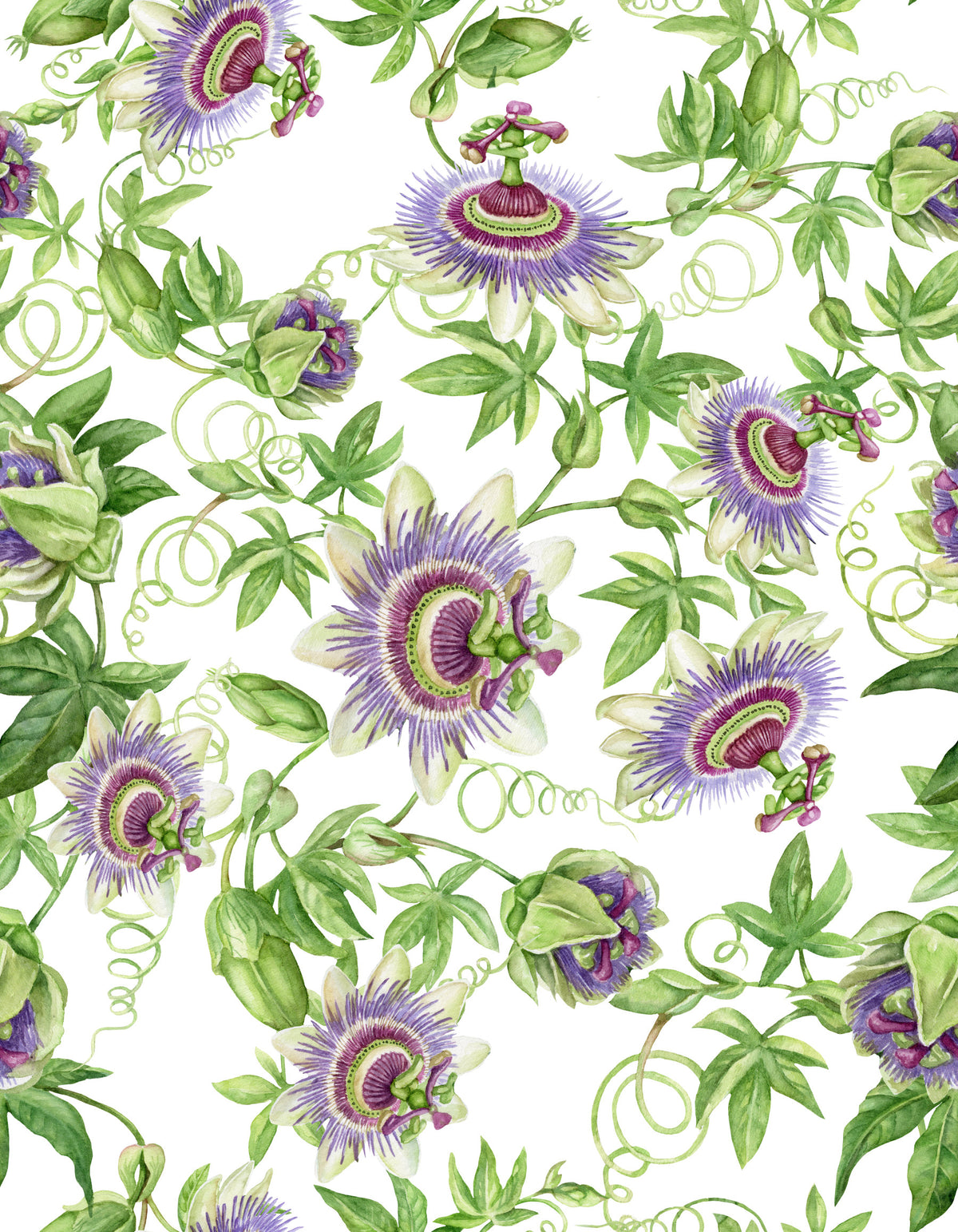 Passionflower Dream Wallpaper⁠ in your room