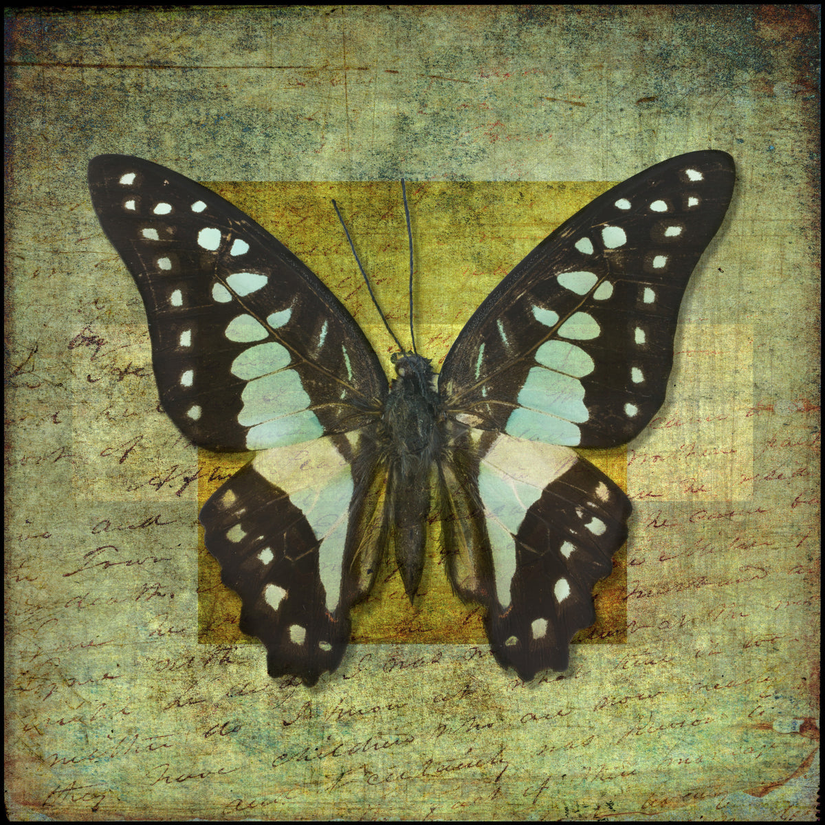 Gilded Butterfly Wall Mural in your room — zoomed