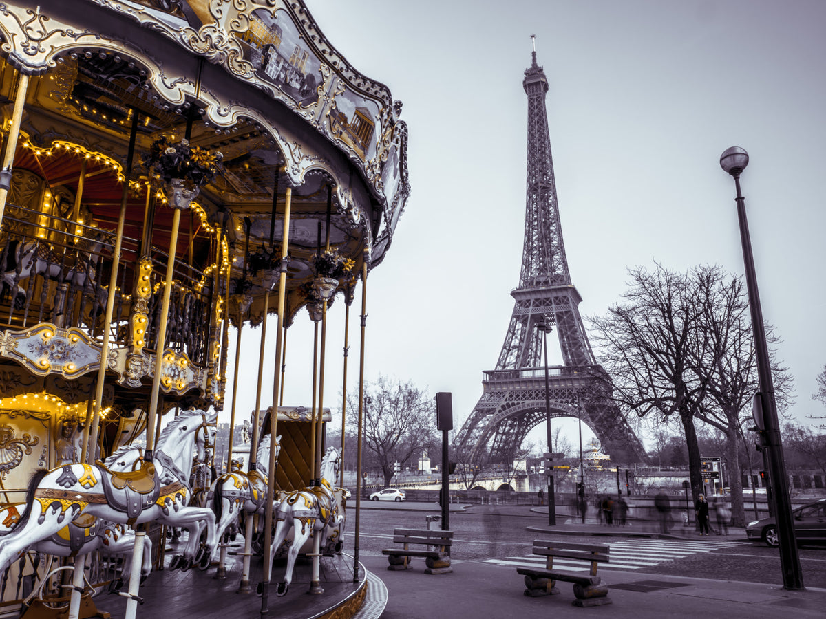 Carousel Dreams Wall Mural in your room — zoomed