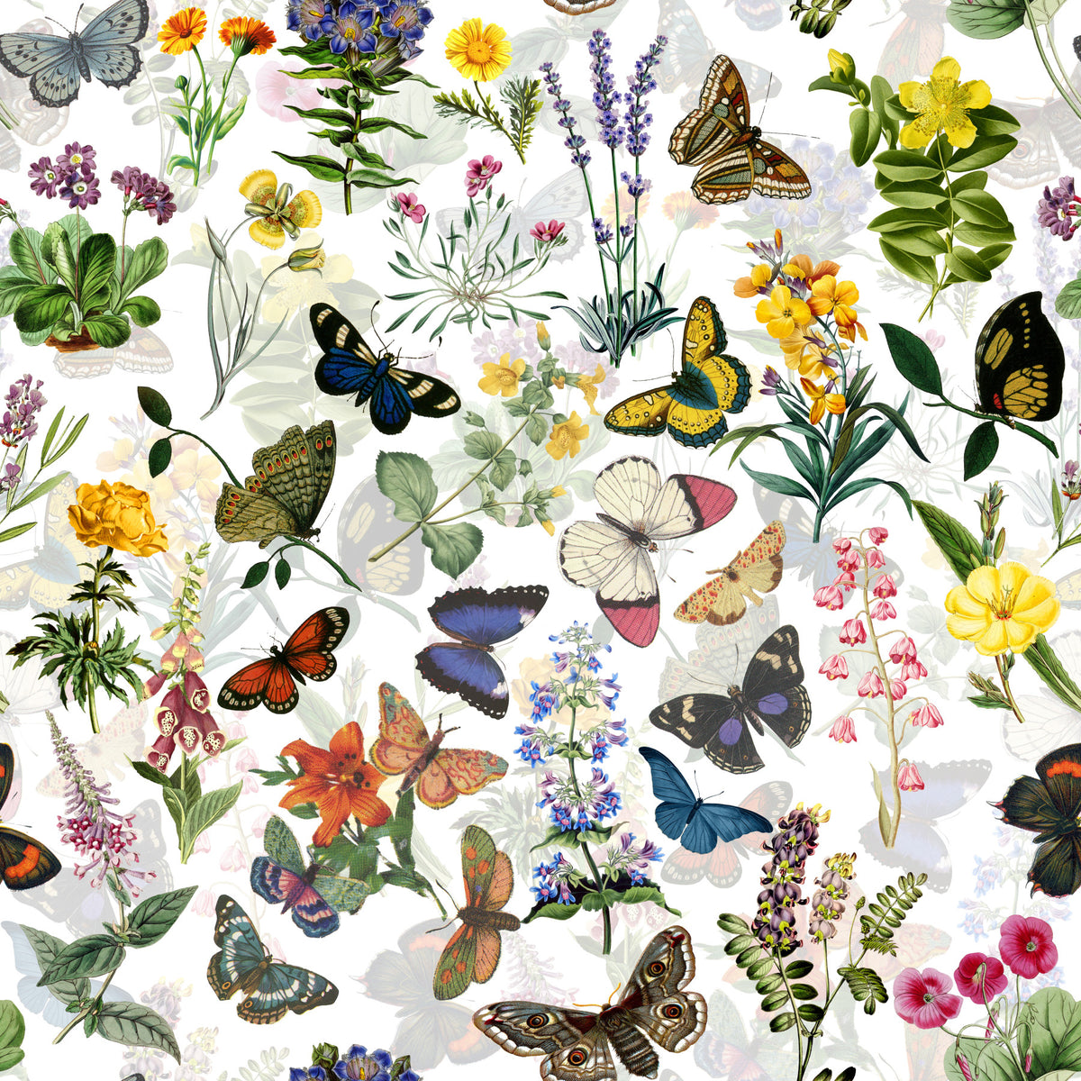 Fluttering Blooms Wallpaper⁠ in your room