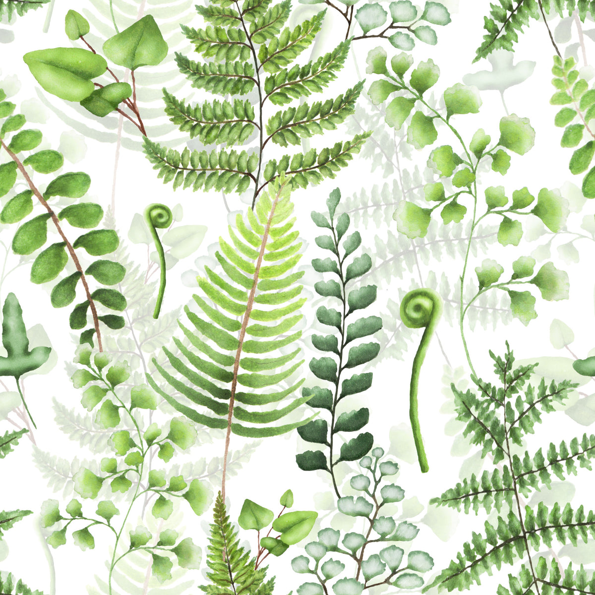 Fern Fantasy Wallpaper⁠ in your room — zoomed