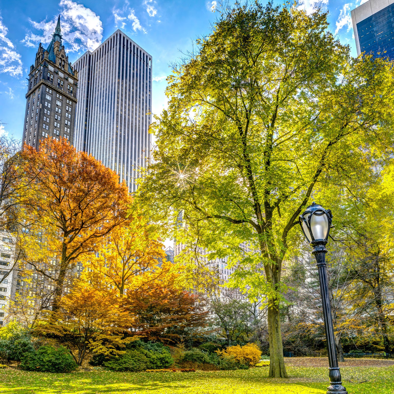 Central Park in Fall Colors Wall Mural