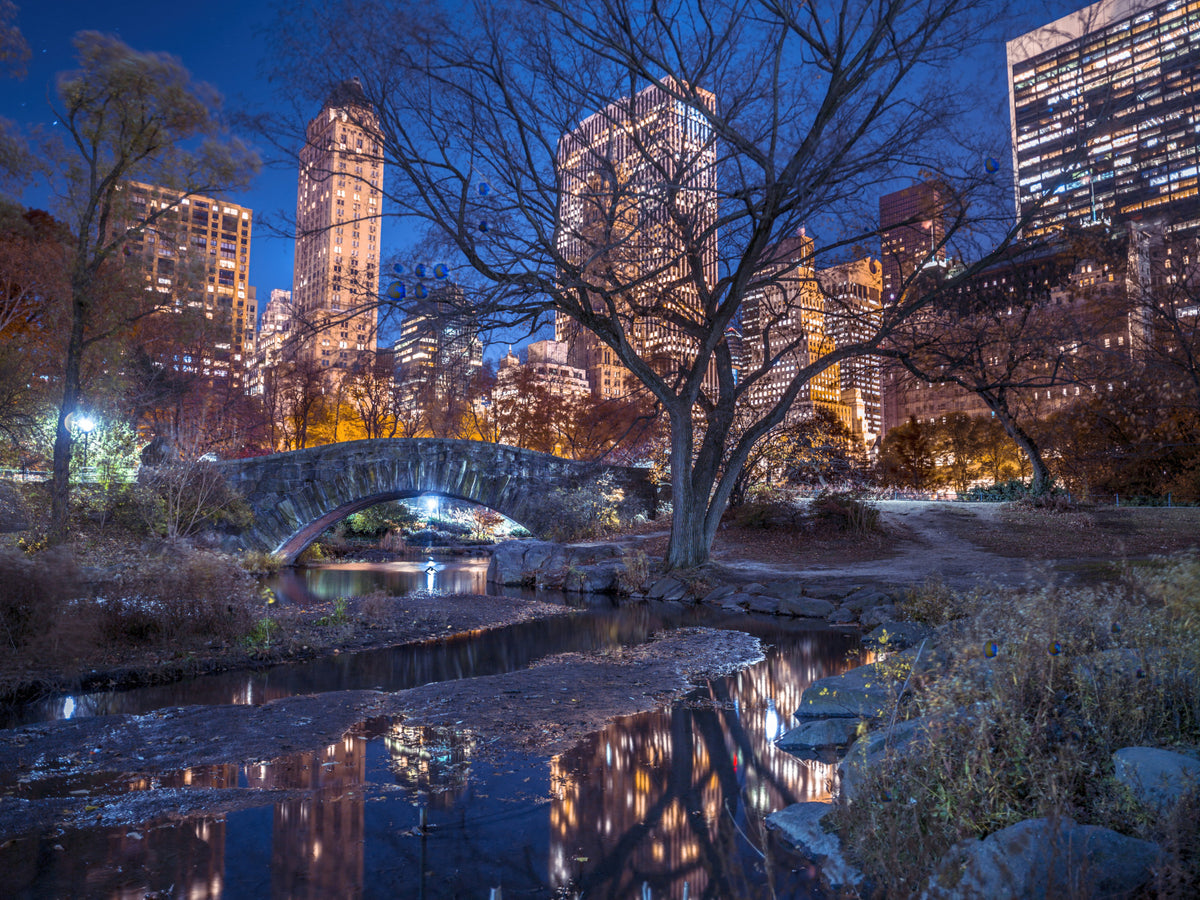 Central Park at Night Wall Mural in your room