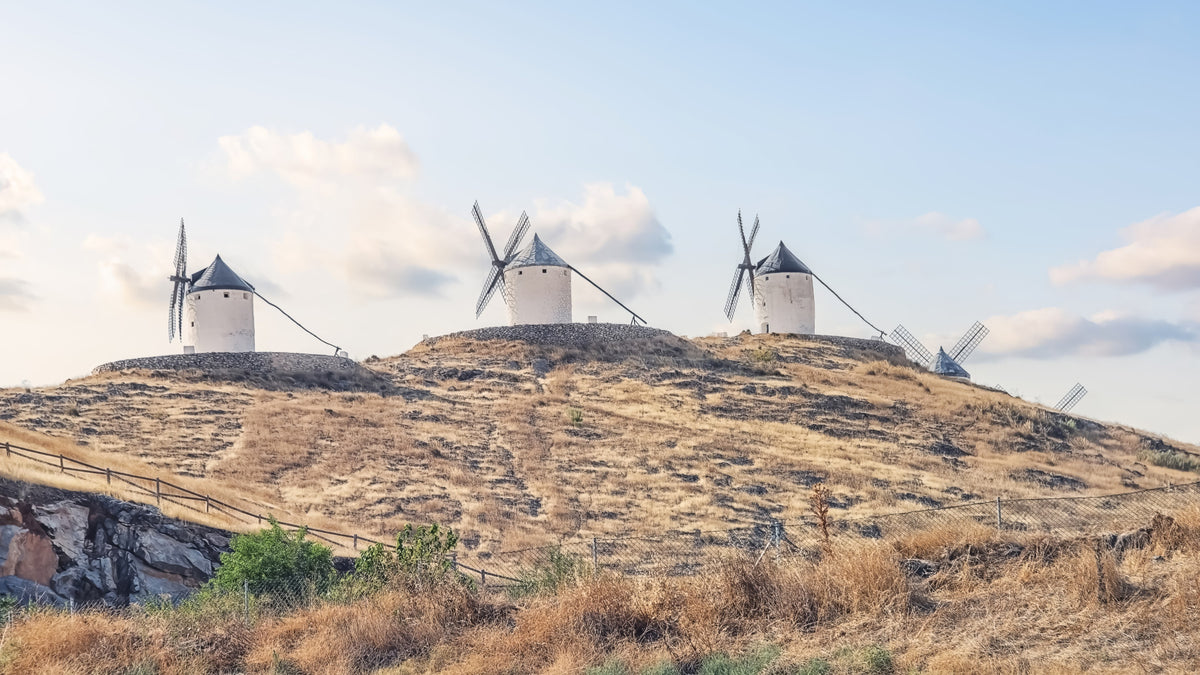La Mancha Windmills Wall Mural in your room — zoomed