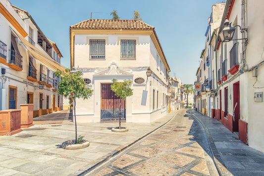 Spanish Street Charm Wall Mural