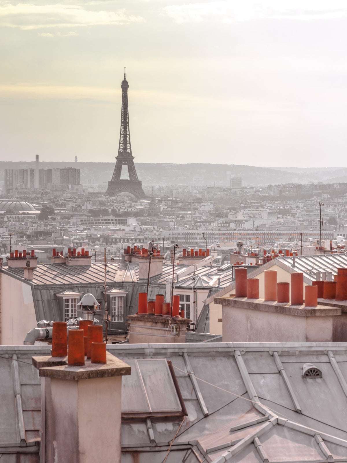 Parisian Rooftops Wall Mural in your room — zoomed