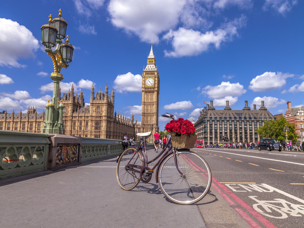 Red Blooms in London Wall Mural in your room — zoomed