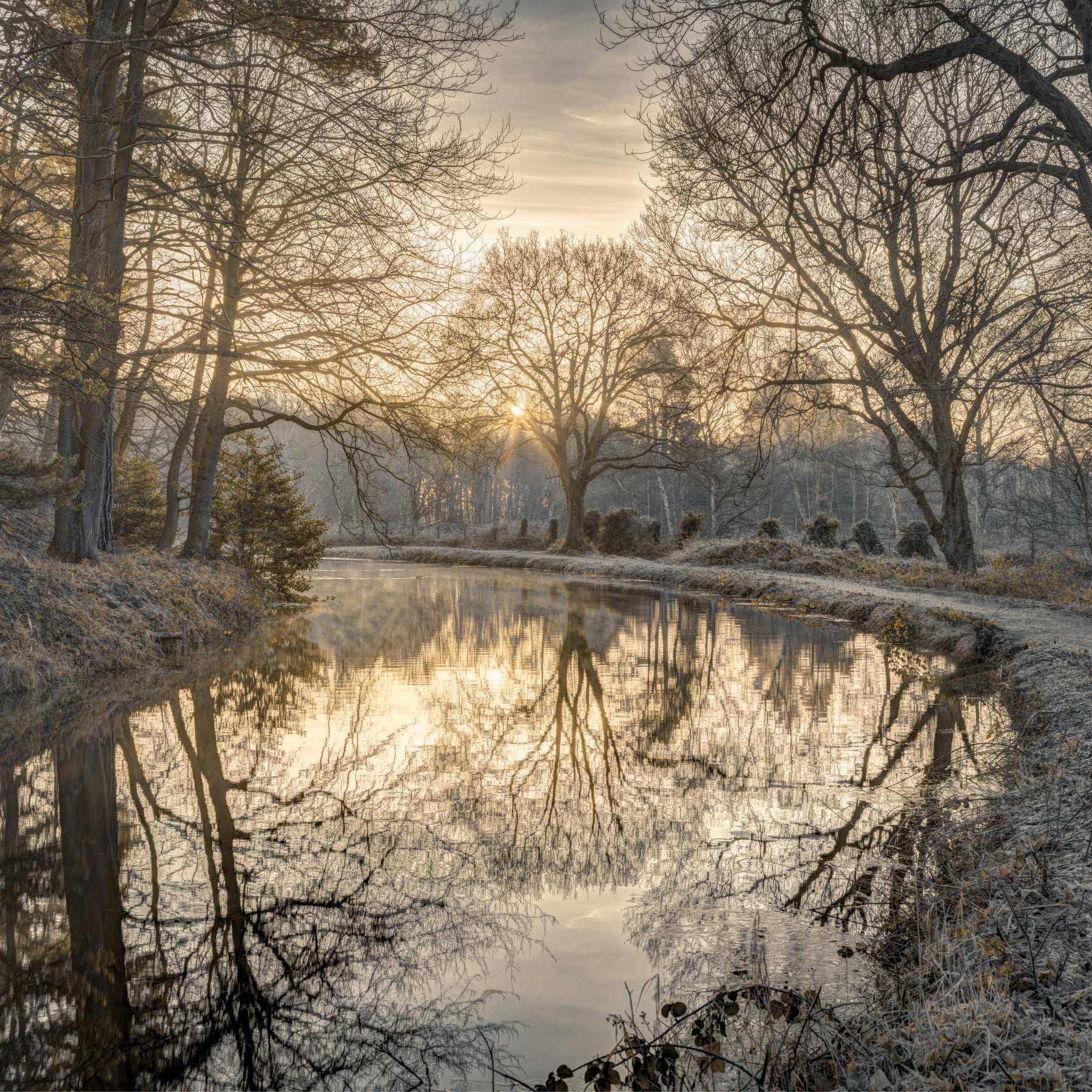 Canal Sunrise Wall Mural in your room — zoomed
