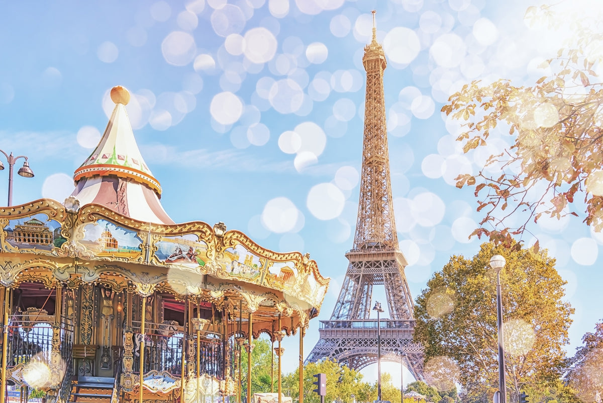 Parisian Carousel Dream Wall Mural in your room — zoomed