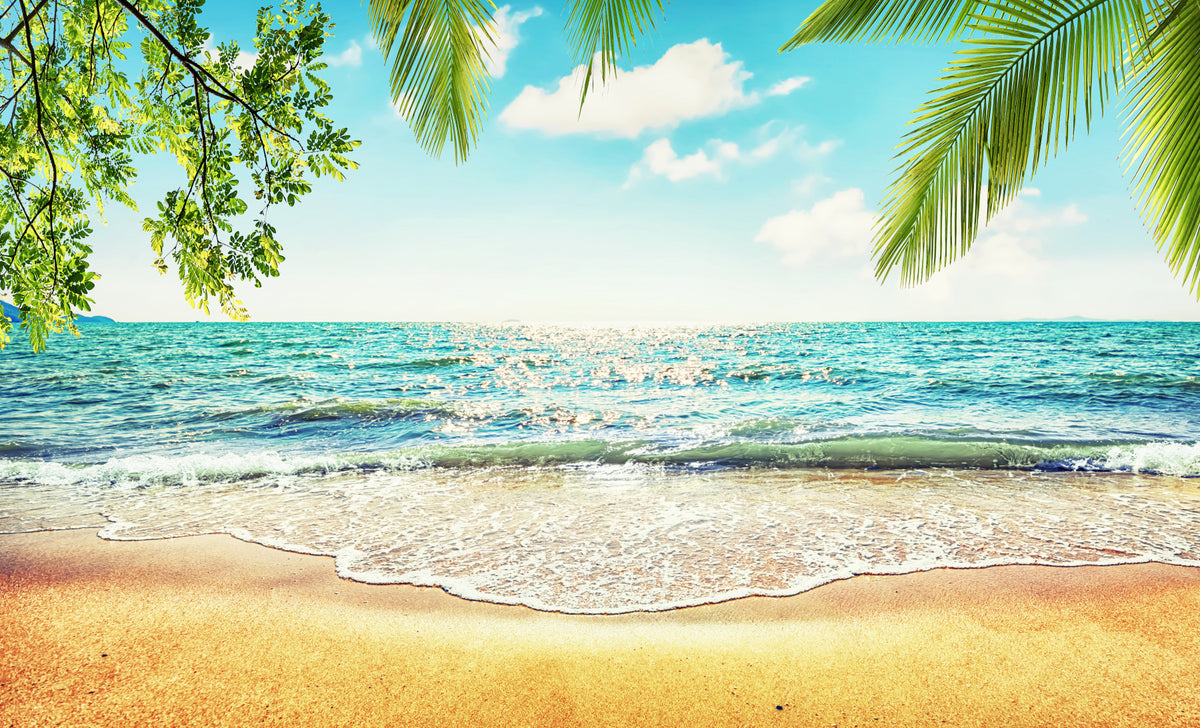 Coastal Beach Serenity Wall Mural in your room
