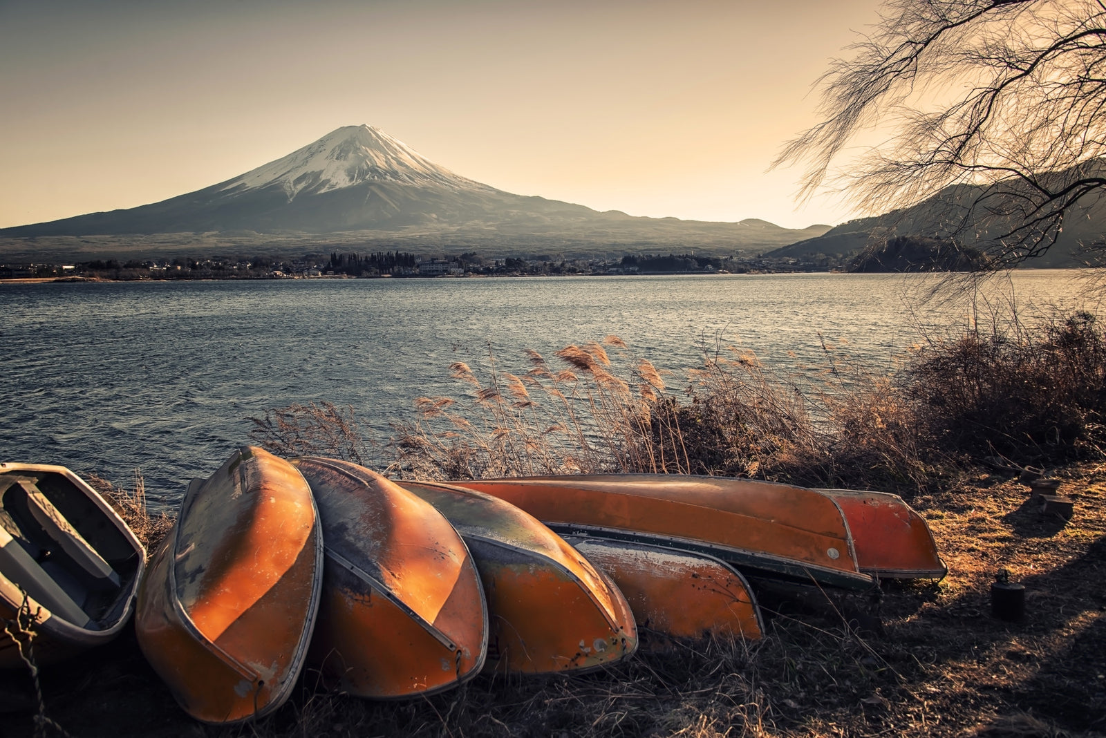 Fuji's Lakeside Calm Wall Mural in your room
