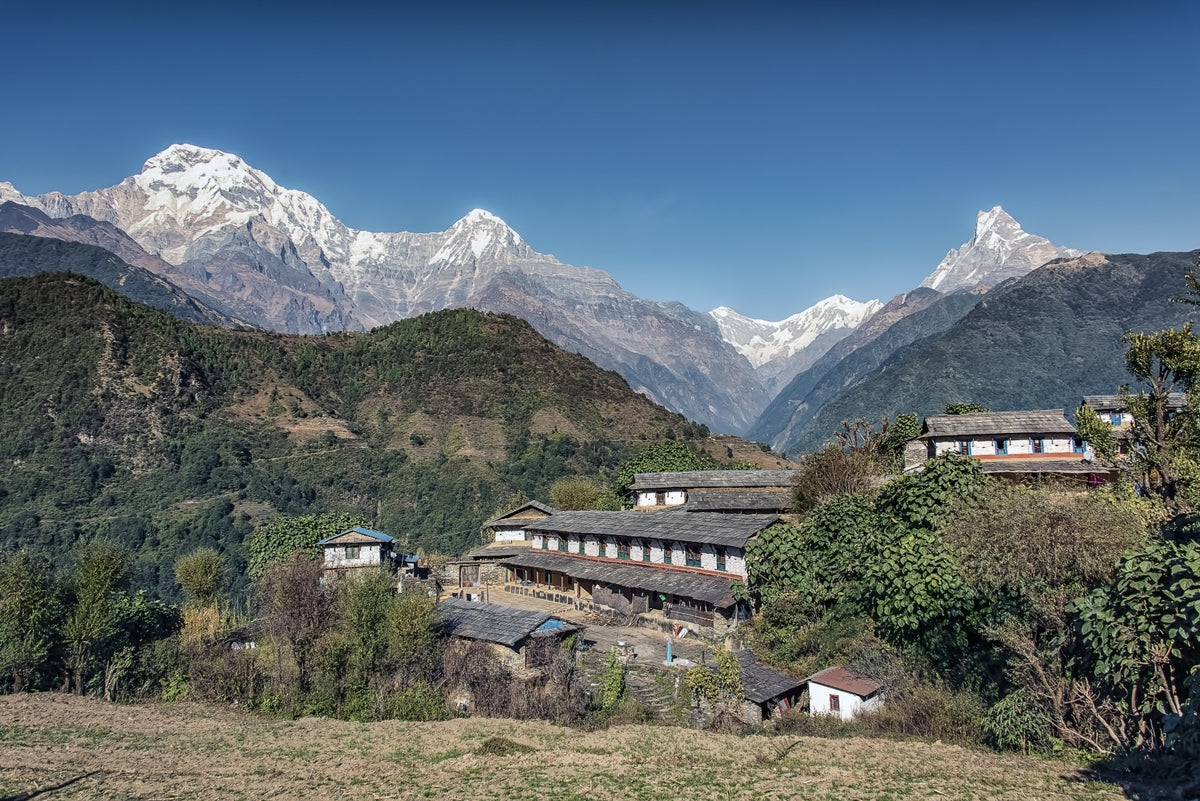 Himalayan Heights Wall Mural in your room