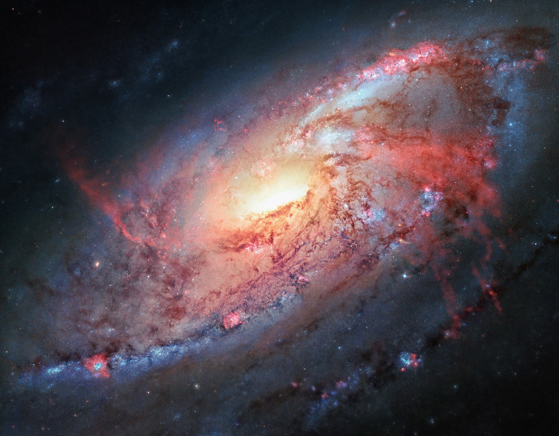 Cosmic Swirl Wall Mural in your room — zoomed