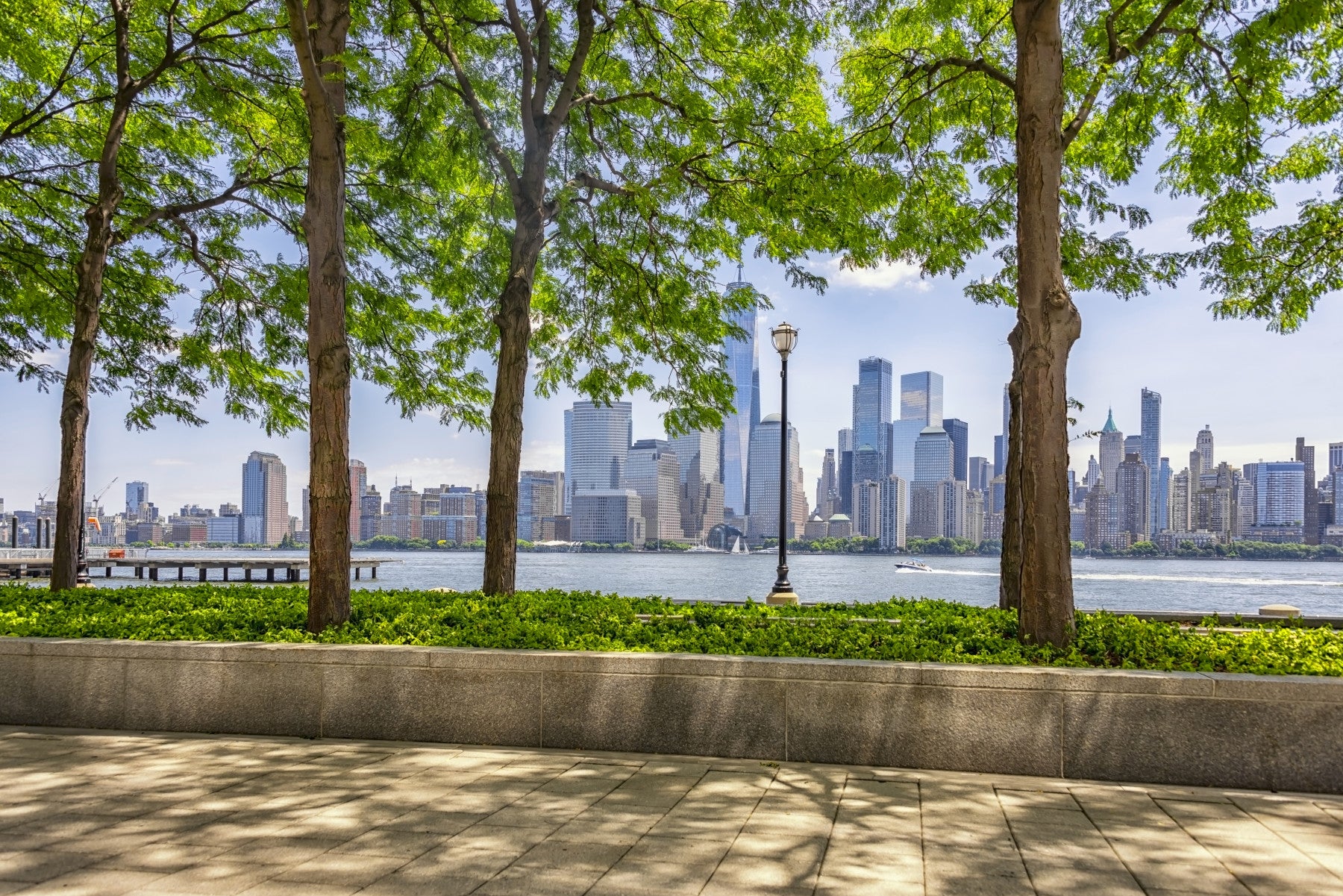 Urban Oasis View Wall Mural