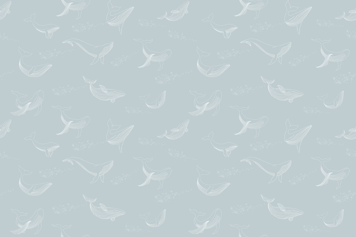 Aqua Whale Dreams Wall Mural in your room — zoomed