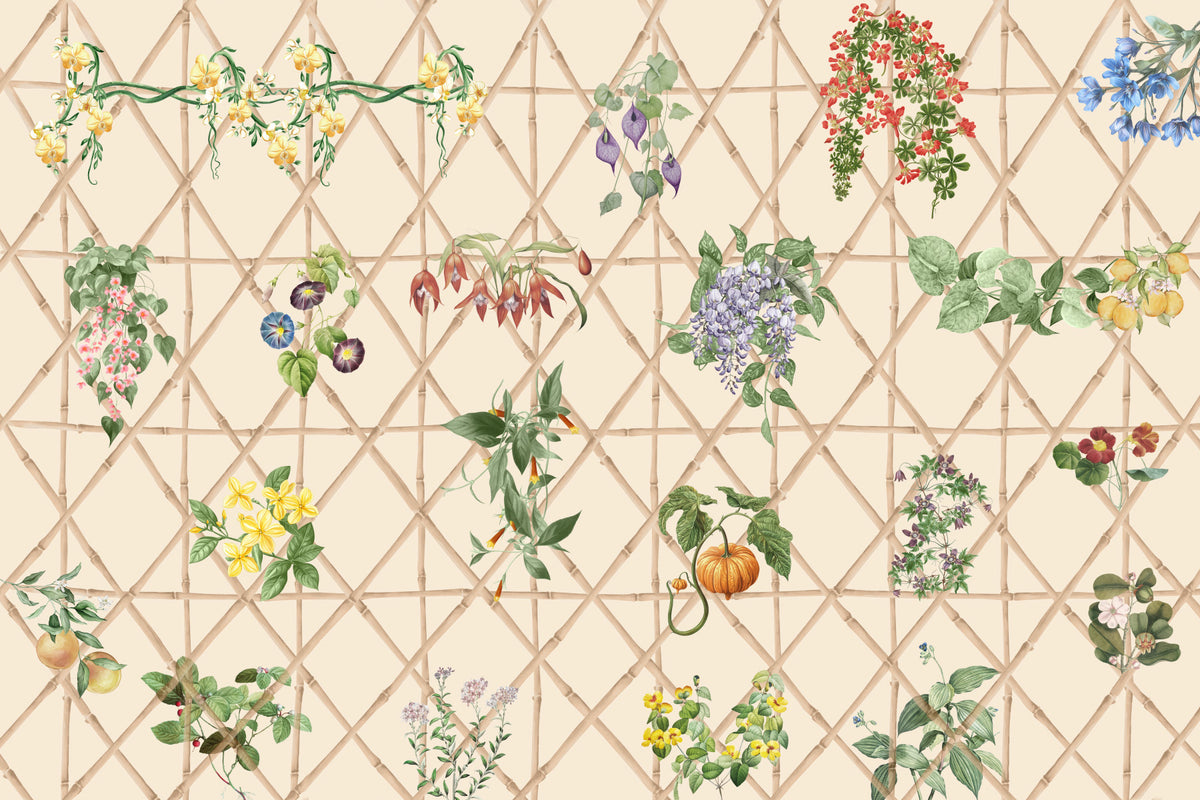 Chinoiserie Garden Wall Mural in your room