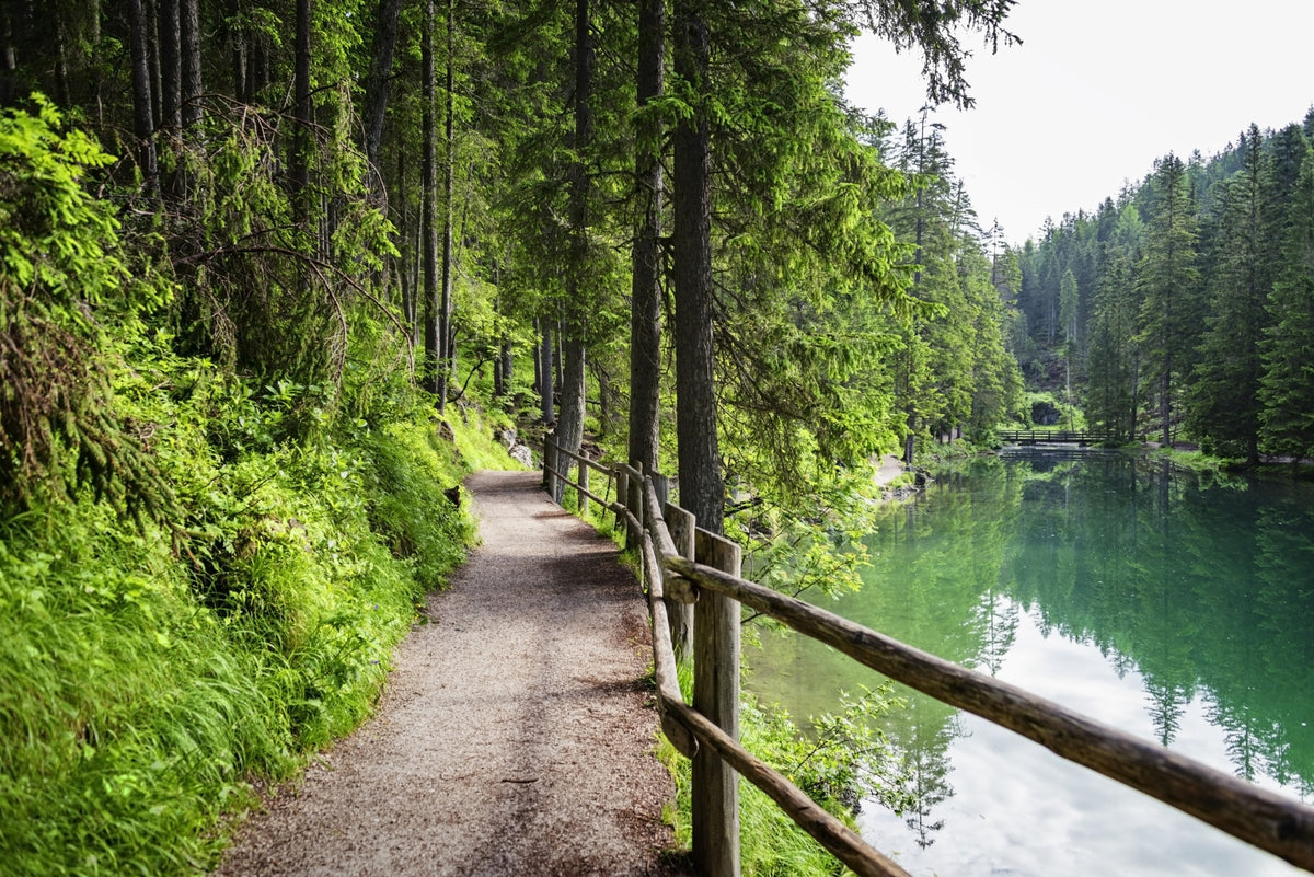 Emerald Lake Trail Wall Mural