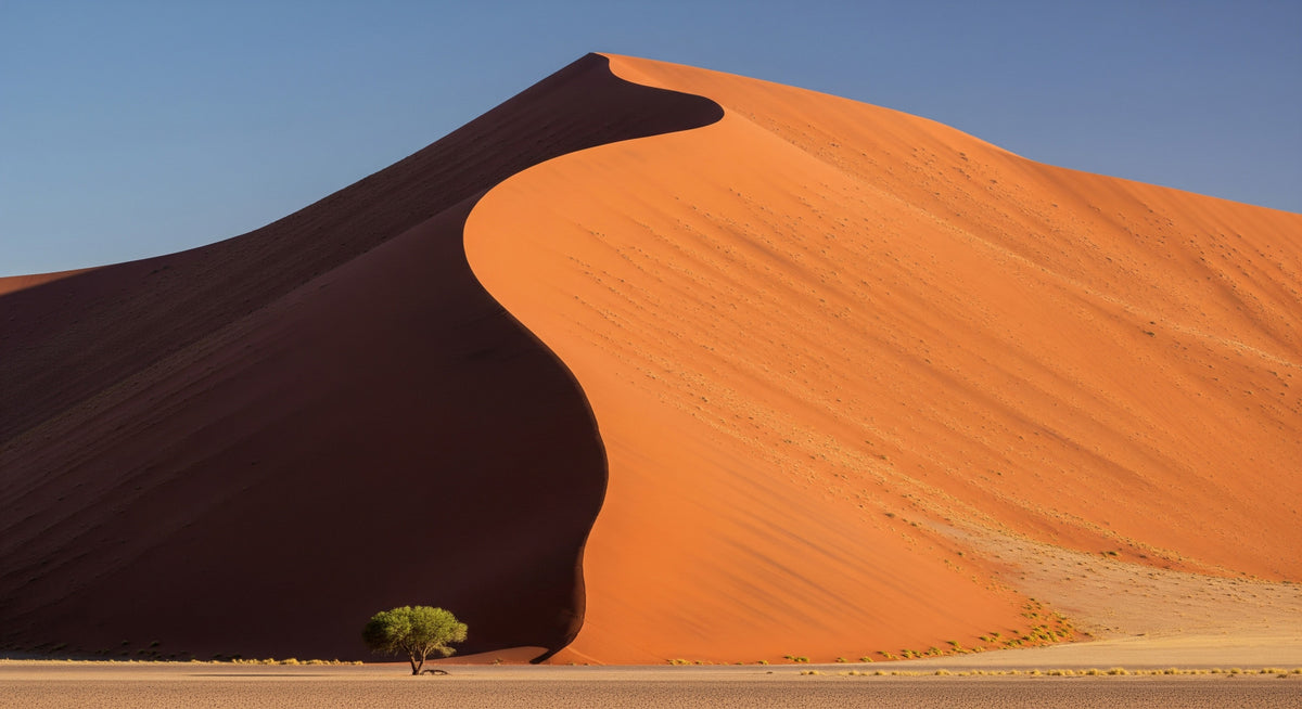 Desert Serenity Wall Mural