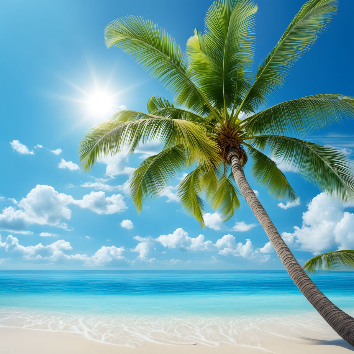 Serene Tranquil Beach Wall Mural in your room