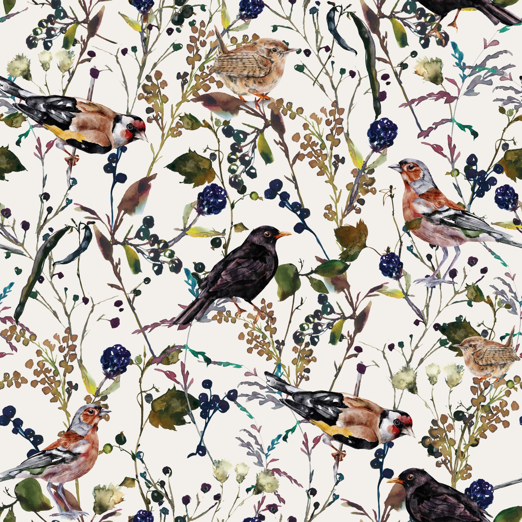 Berry Song Birds  Wallpaper⁠