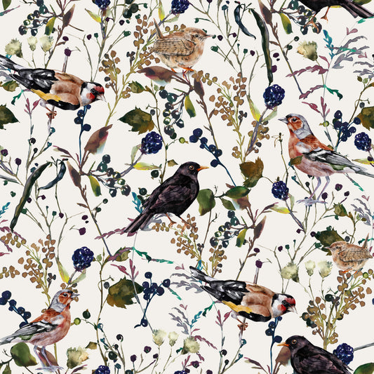Berry Song Birds  Wallpaper⁠