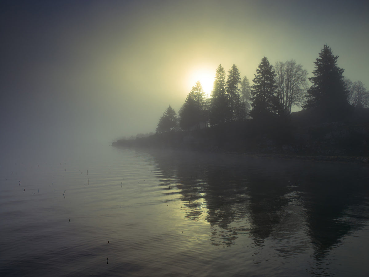 Misty Dawn Wall Mural in your room