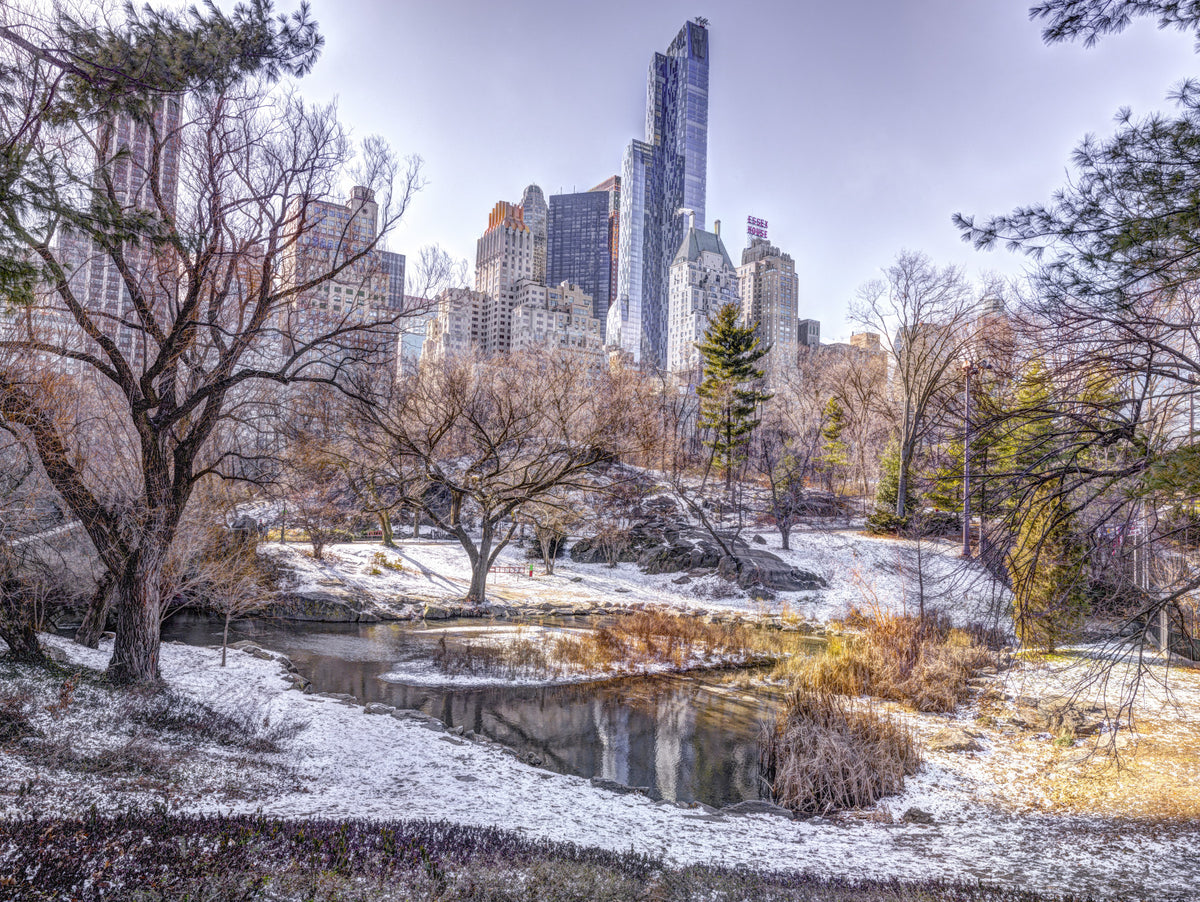 Snowy Central Park Wall Mural in your room