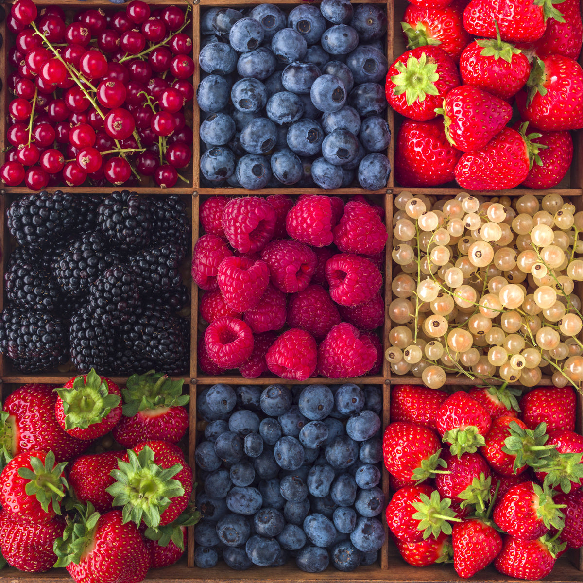Berry Fresh Delight Wall Mural in your room